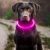 Bright Pink